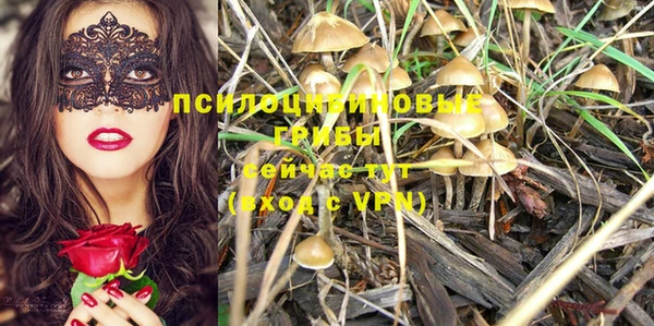 прущая мука Белоозёрский