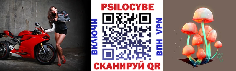 Псилоцибиновые грибы MAGIC MUSHROOMS  купить закладку  Острогожск 
